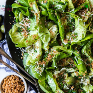 butterhead-lettuce-salad