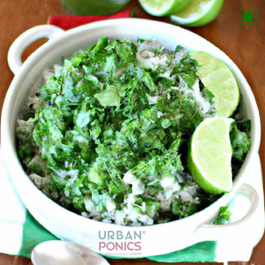 cilantro-lime-rice