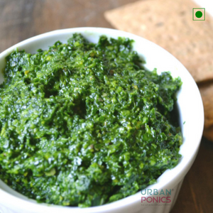 parsley-pesto