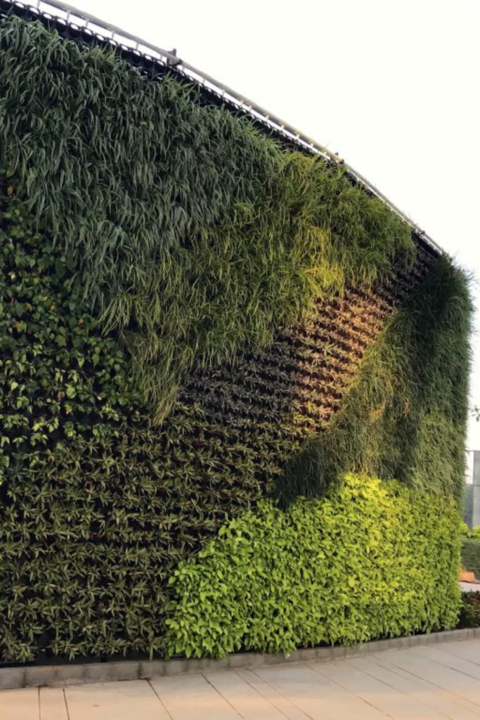 green-wall